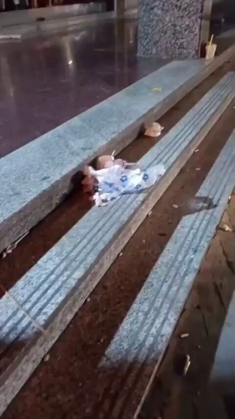 مقيمة فلبينية تصور وتتشر كم هائل من مخلفات بعض الوافدين في سوق السالمية. ومنا إلى بلدية الكويت 