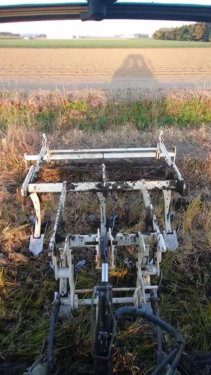 ジャンボタニシくん大尉 (@shinblock_) / Posts / X