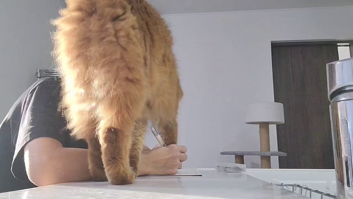 これは⋯🤣🤣🤣