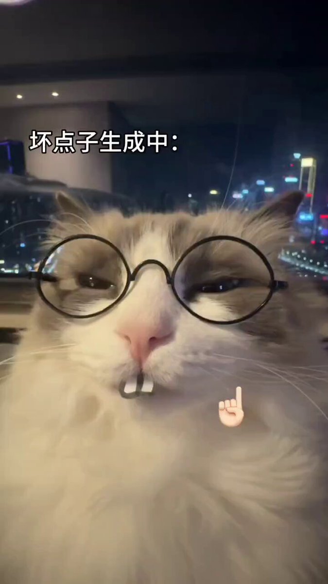 咪是花花大王👑🌼😻 #catlovers #cats #catvideos #猫咪#可爱#萌宠#cat