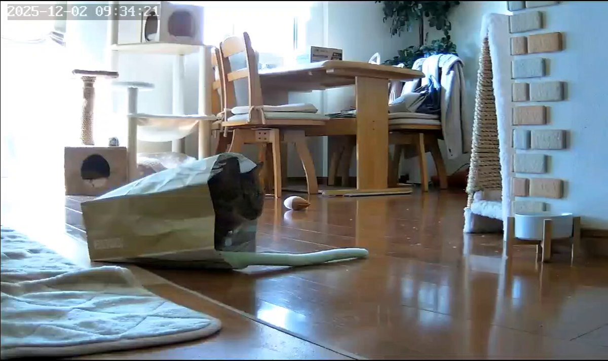 みぃ (@Js4zeKqmJxbnVBS) / Posts / X