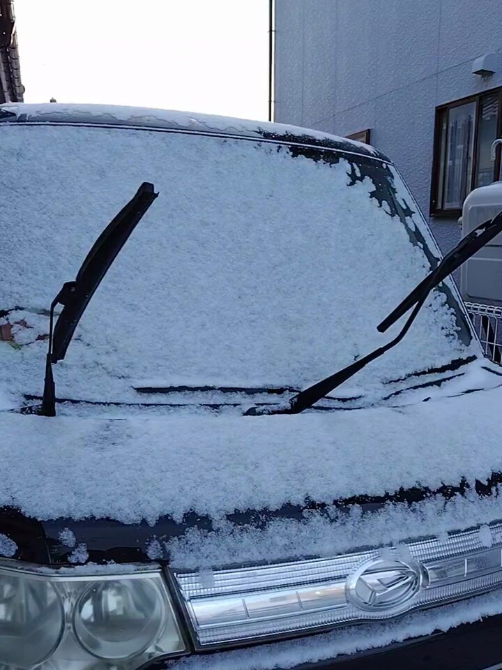 ぴーち🍑☕️🐌🥬HAPPYを(ㅅ ॑꒳ ॑*)ෆ (@peach_1237_) / Posts / X