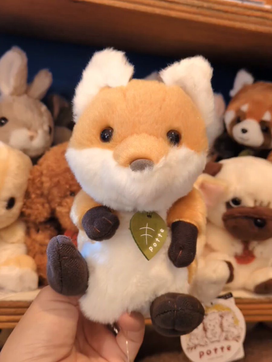 くまこ (@kumaco38) / Posts / X