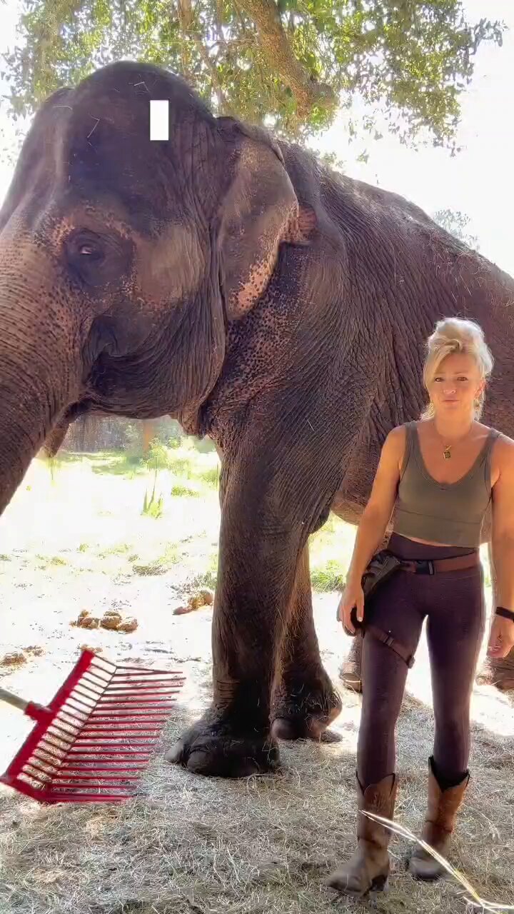 Massimo (@Rainmaker1973) on X