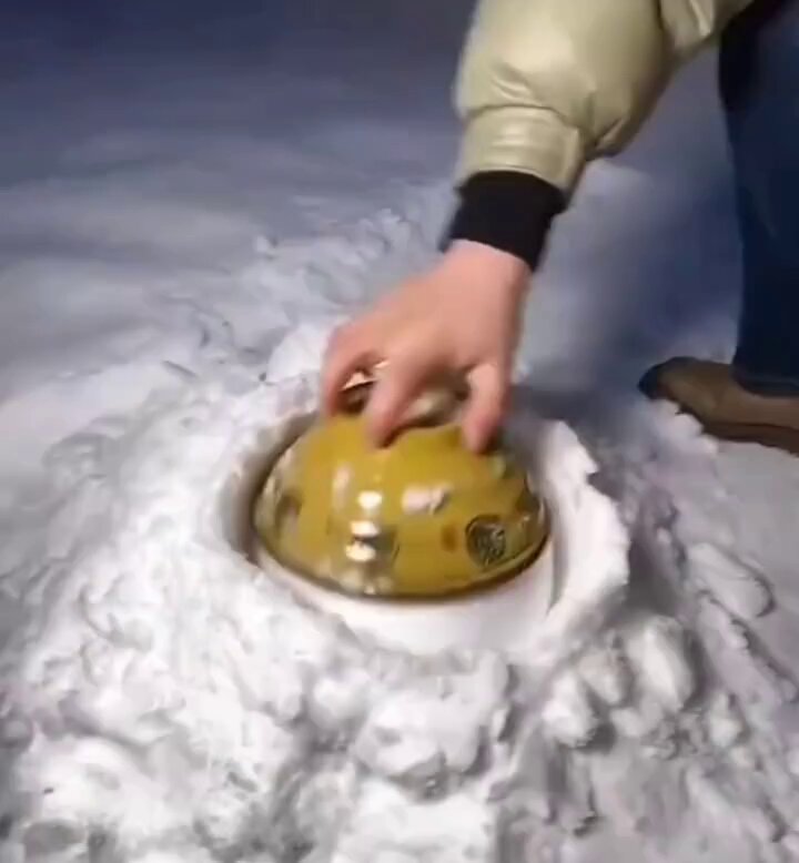 とわみん (@waminto3) / Posts / X