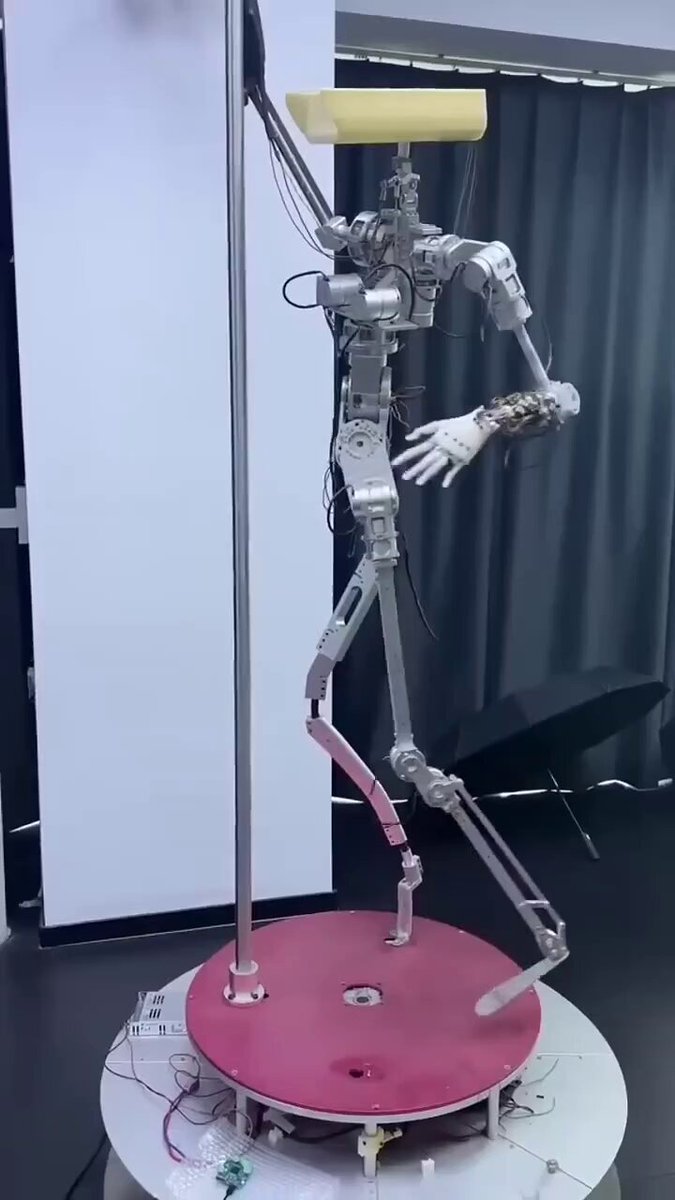 miiyauwu | 🟦☁️@miiya.page (@PearlteaRizzy) / Posts / X