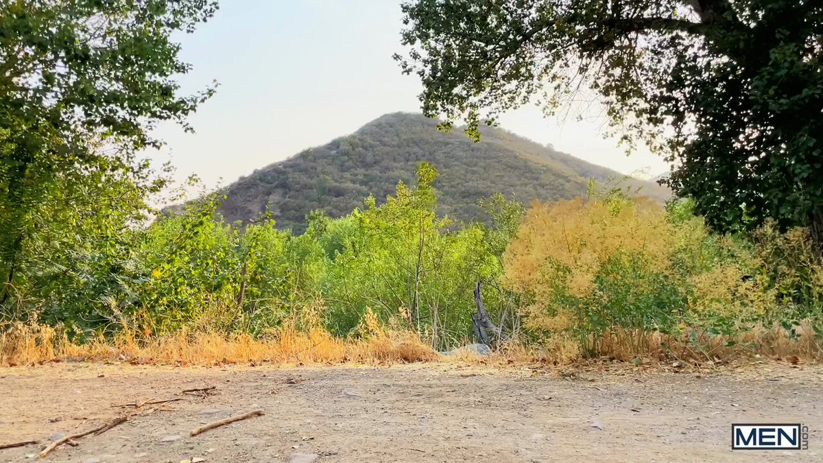 Hooking Up With Dante Colle. Full video here: @anecbote @20251208020338