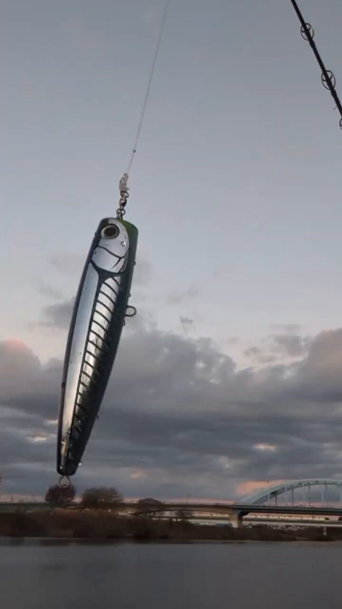 リンクス🎣 (@Angler_LINKS) / Posts / X