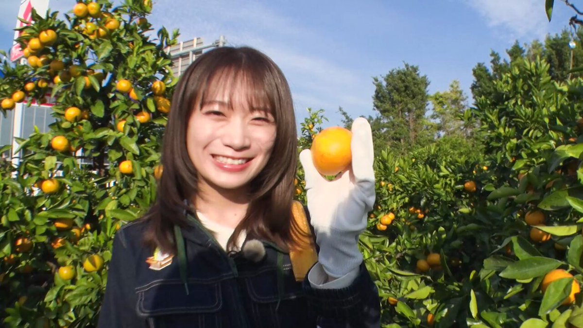 英(えい)ちゃん@ (@eicyannblog) / Posts / X