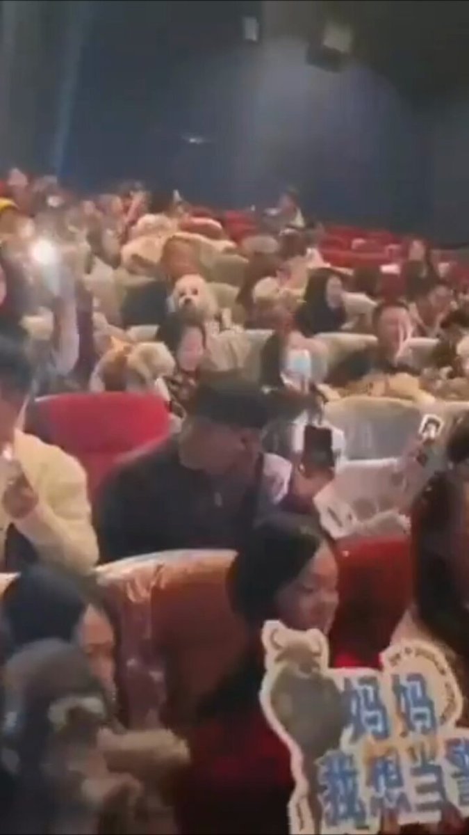 سينما للكلاب ومربيها في الصين 