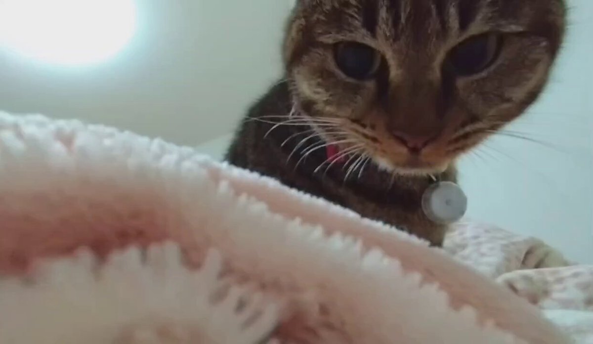 みぃ (@Js4zeKqmJxbnVBS) / Posts / X