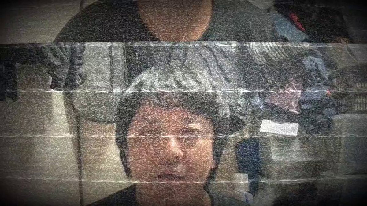 【夏企画】Misaki Dibakku my love