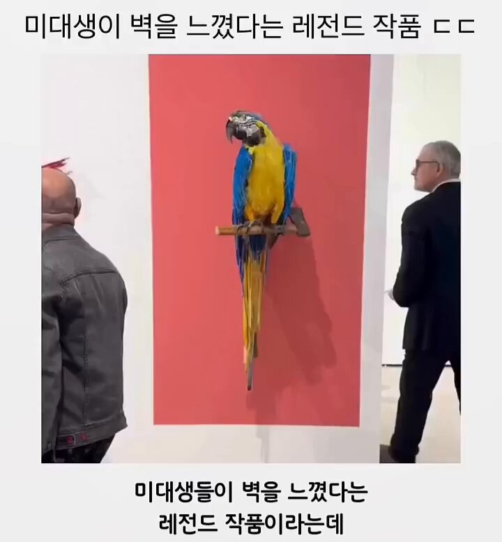 🐾 (@loxxve_) / Posts / X