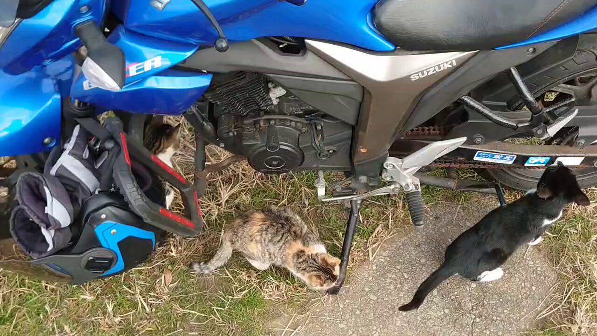 Post by ハマの隠居【正式】（獅子も俺も這い上がるぞー） on X