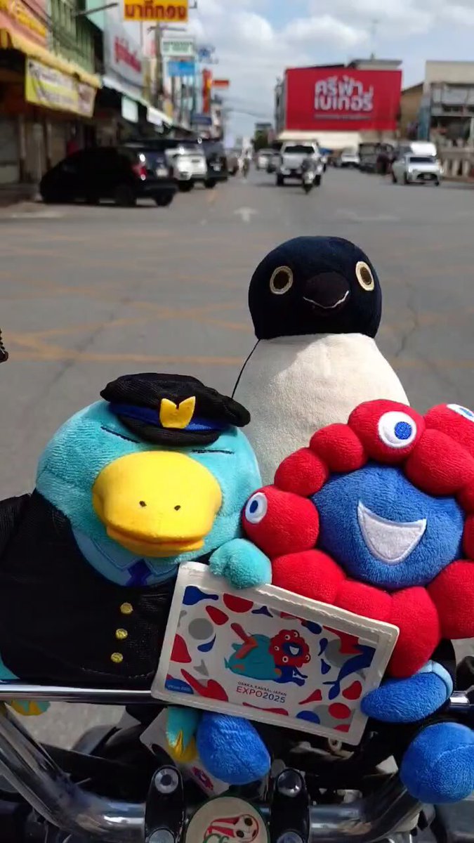 ペソギソチャソ🐧 (@pesogisochaso) / Posts / X