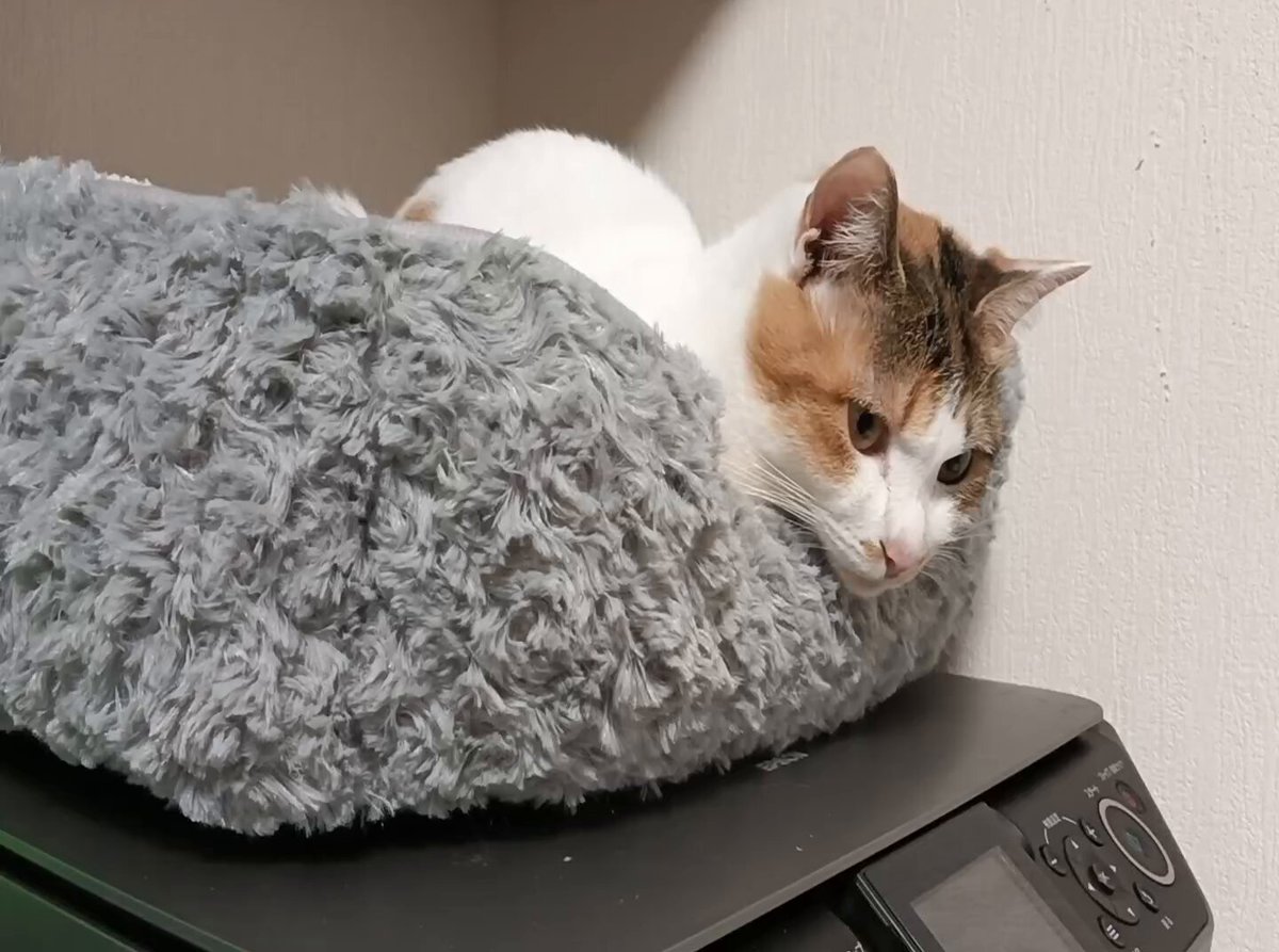 とろろページです♡ ボクにしかできないことってある？☁️ #ハイテク #便利な世の中