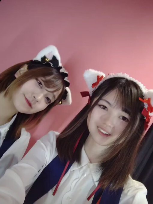 みけねこカフェ秋葉原店のツイート