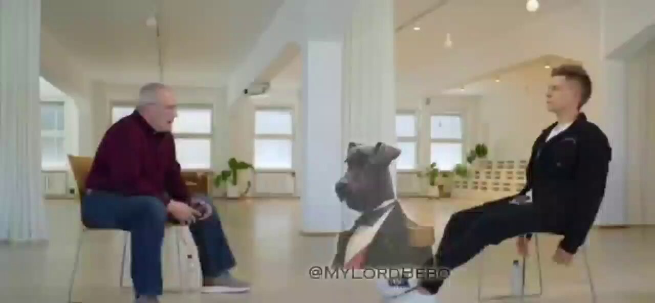 Robin Monotti (@robinmonotti) on X