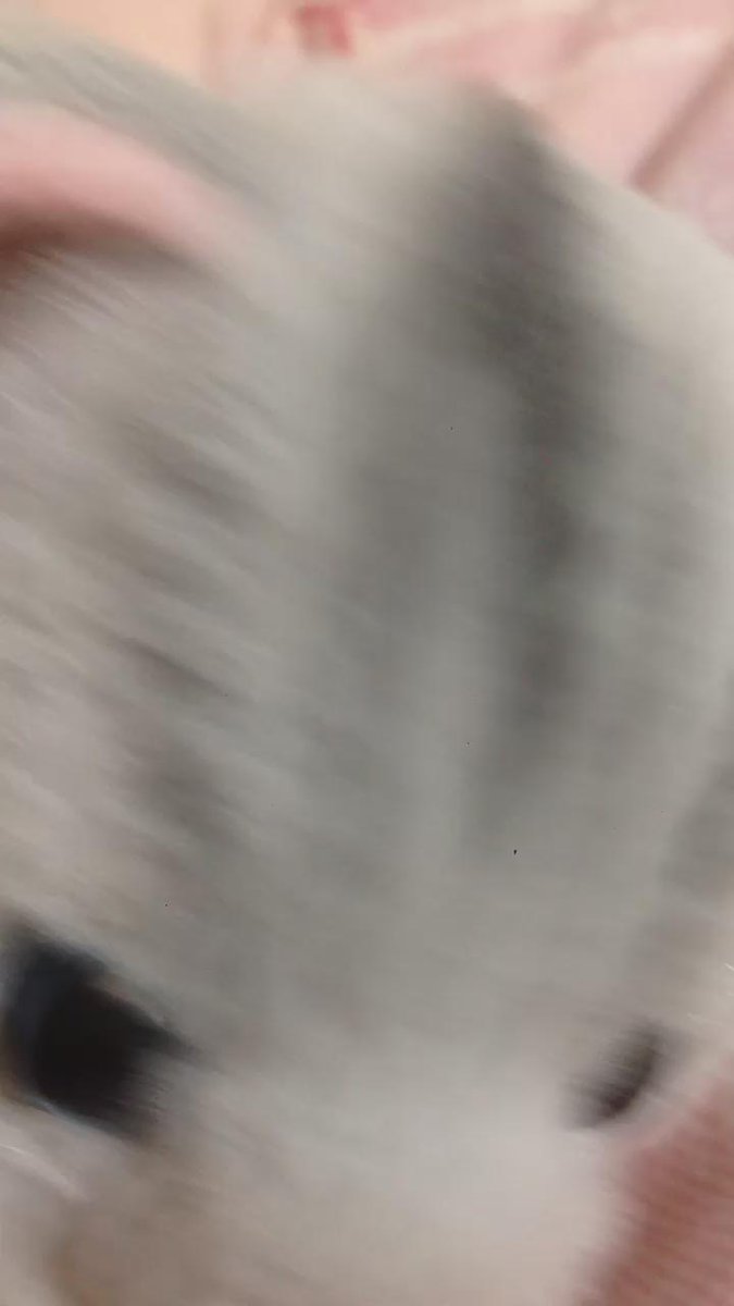 Twitter Image