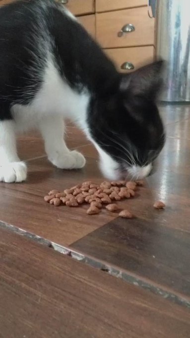 Sharing is caring :-) @PrinceIkis and Ryusha http://t.co/fZuyuvKAMM<a class="tags" target="_blank" title="On Twitter" href="/?out=eyJ0eXAiOiJKV1QiLCJhbGciOiJIUzUxMiJ9.eyJpYXQiOjE3MjQ3NDQ2MjksImlzcyI6InR3cG9ybnN0YXJzLmNvbSIsIm5iZiI6MTcyNDc0NDYyOSwiZXhwIjoxNzU2MjgwNjI5LCJyZWRpcmVjdF91cmwiOiJodHRwczovL3R3aXR0ZXIuY29tL1ByaW5jZUlraXMifQ.s8SEy_P857rGS83PEgyQ4u_1Pwk4V0G05bNfEmih3mv_0NnWMKQz-JFSbIAg_tBPCiQaSusyneEMLNEwNA8CxA">@PrinceIkis</a>