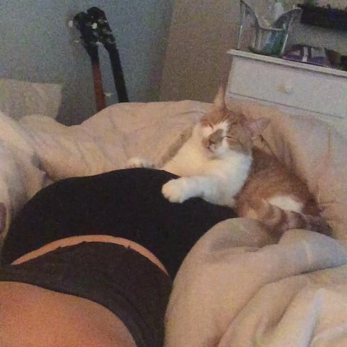Kitkat likes my butt http://t.co/feyNFvKk09