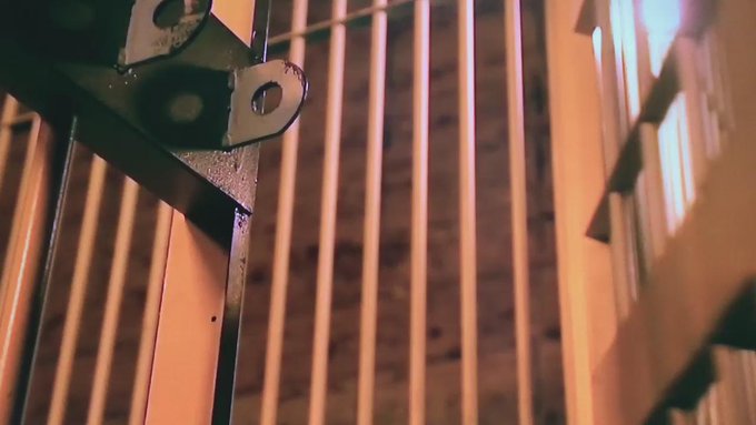 中村萌香さん がハッシュタグ ワイルドヒーローズ をつけたツイート一覧 1 Whotwi グラフィカルtwitter分析