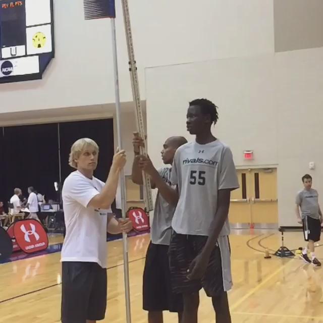 Bol Bol Rivals Bol Bol Rivals