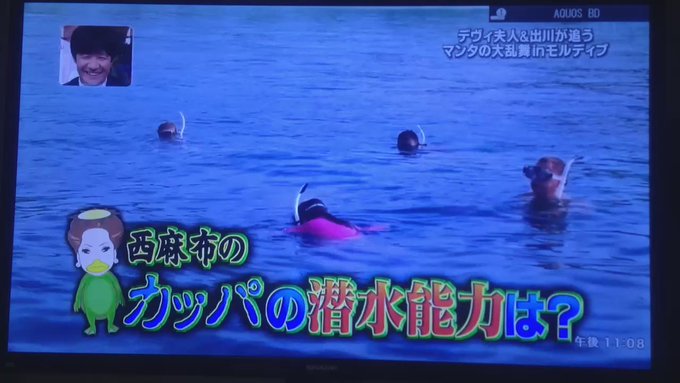 世界の果てまでイッテq動画版 S Recent Tweets 4 Whotwi Graphical Twitter Analysis 世界の果てまでイッテq動画版 S Recent Tweets 4 Whotwi Graphical Twitter Analysis