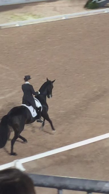 Wow. Wow tinne vilhelmson-silfven #dressage #usgrandprix #centralpark #horsesofinstagram http://t.co