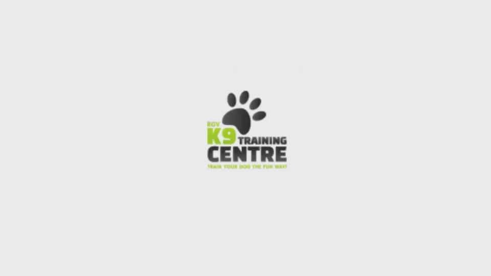 Rgv dog cheap training