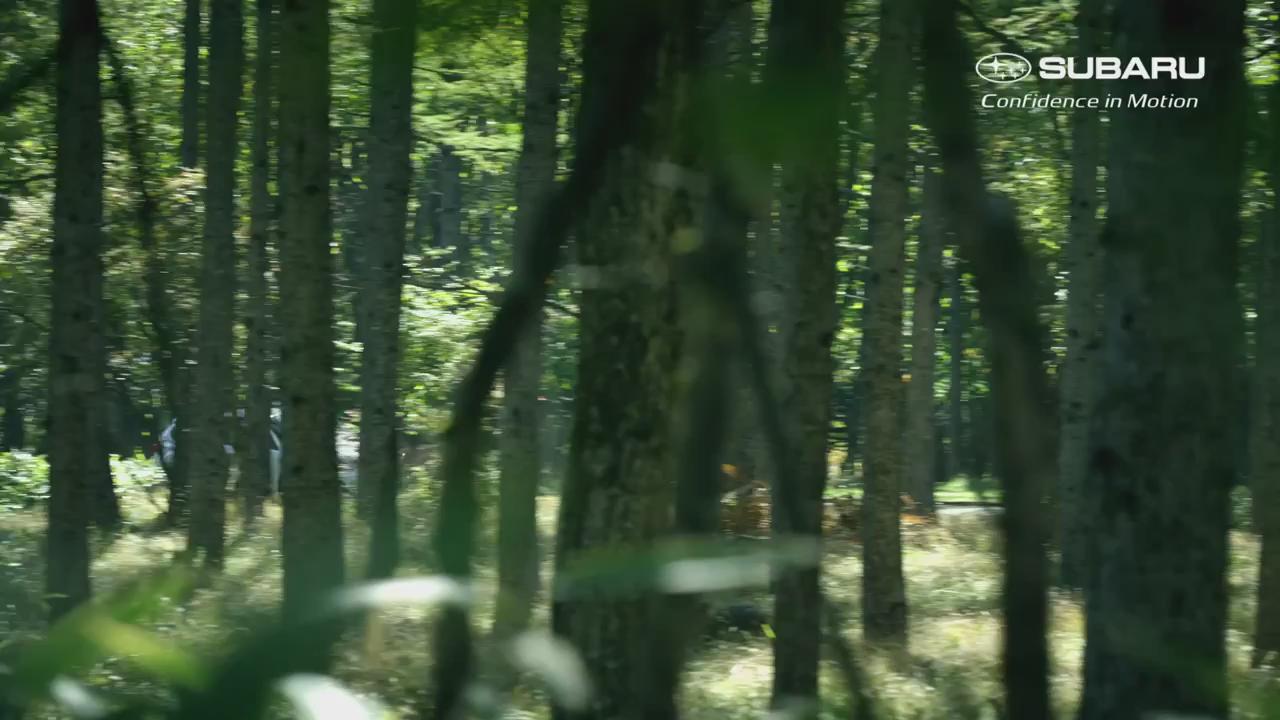 株式会社subaru インプレッサsport新cm グライダー篇 昨日からo A の新tvcmをご紹介します 楽曲は山下達郎さんの 高気圧ガール そして登場するかわいい柴犬はあのcmにも出演中 T Co Tzouqscrnw T Co K4vu7hcjh5 Twitter 株式会社subaru インプレッサsport新cm グライダー篇 昨日からo A の新tvcmをご紹介します 楽曲は山下達郎さんの 高気圧ガール そして登場するかわいい柴犬はあのcmにも出演中 T Co Tzouqscrnw T Co K4vu7hcjh5 Twitter