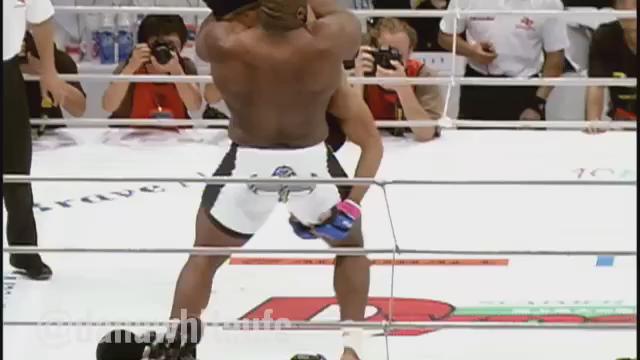 bob sapp nogueira pile
