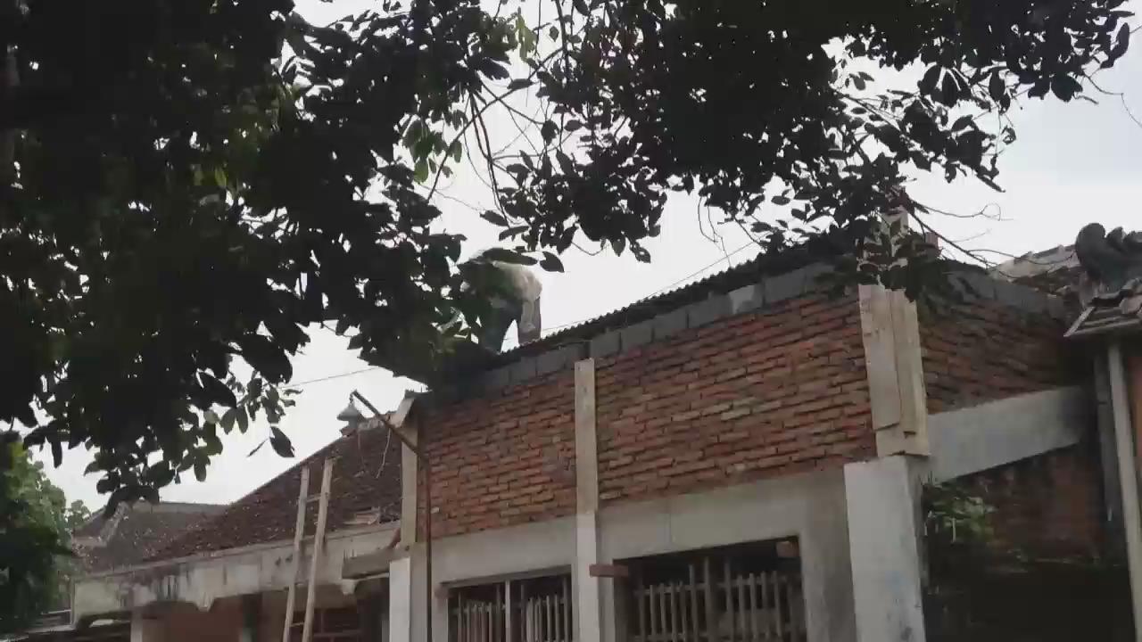 Renovasi Rumah Renovrumahnih Twitter