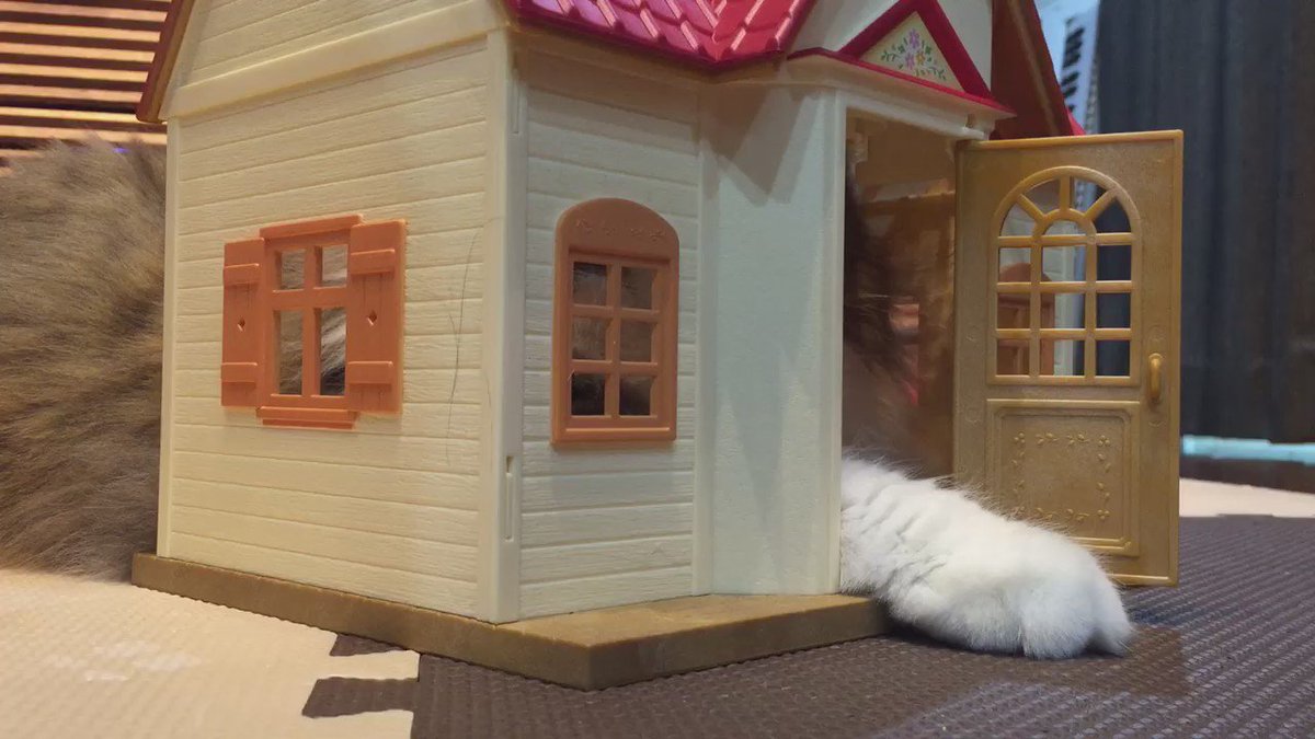 シルバニアファミリーのおうちで遊んでみた 中からモフモフの巨大な住人の手が伸びて襲われる惨劇が発生 Togetter