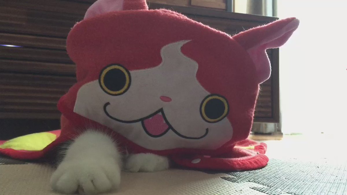 【ジバ】妖怪ウォッチ、ついに実写化に成功www【ニャン】