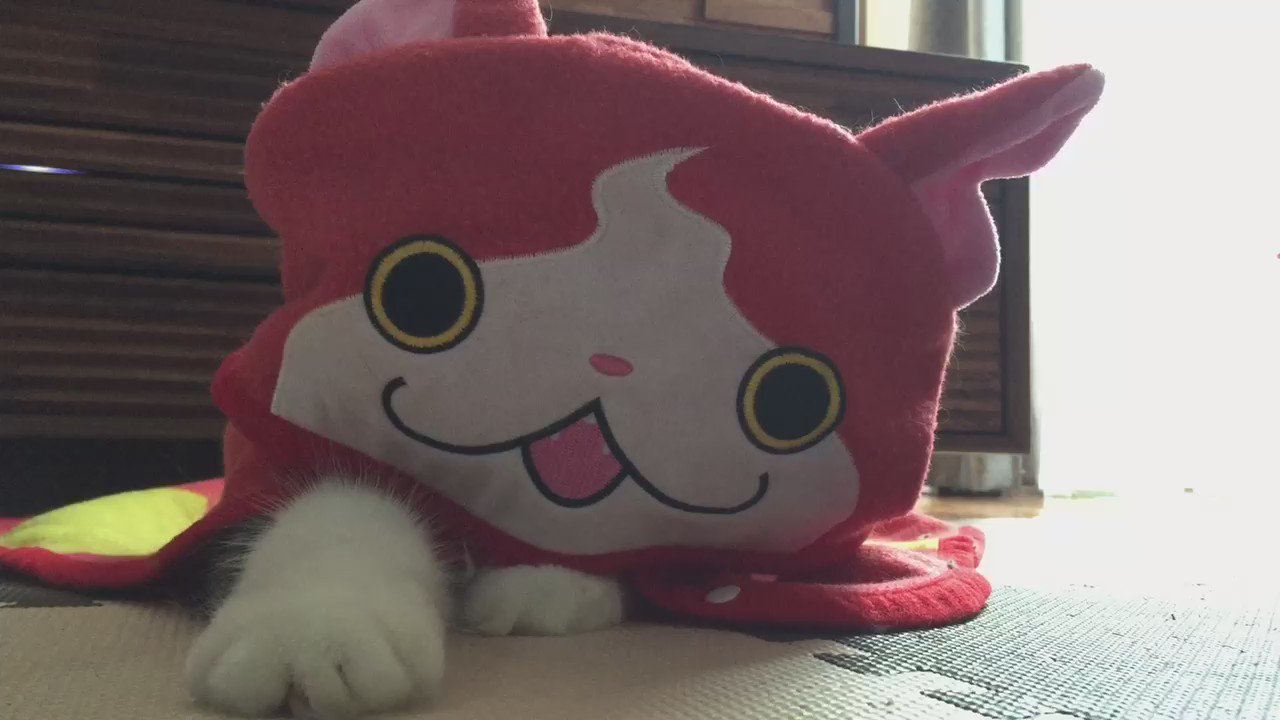 ジバ 妖怪ウォッチ ついに実写化に成功 ニャン 話題の画像プラス