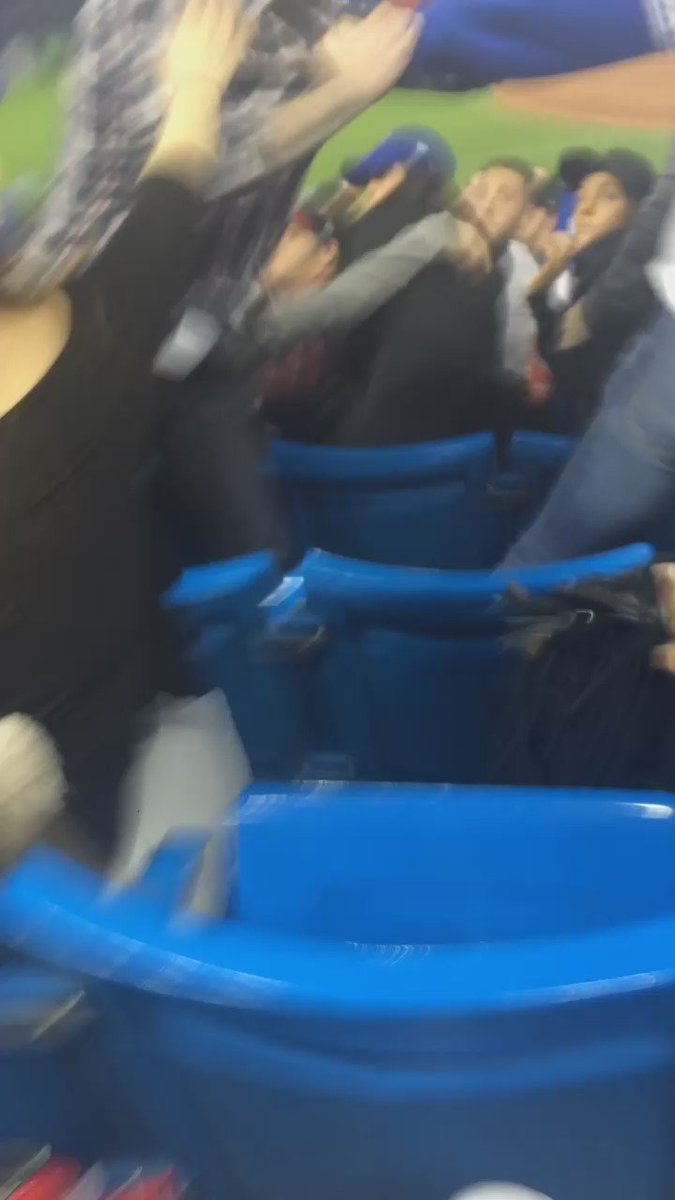 Yankee fan instigates fight, Jays fan takes care of business