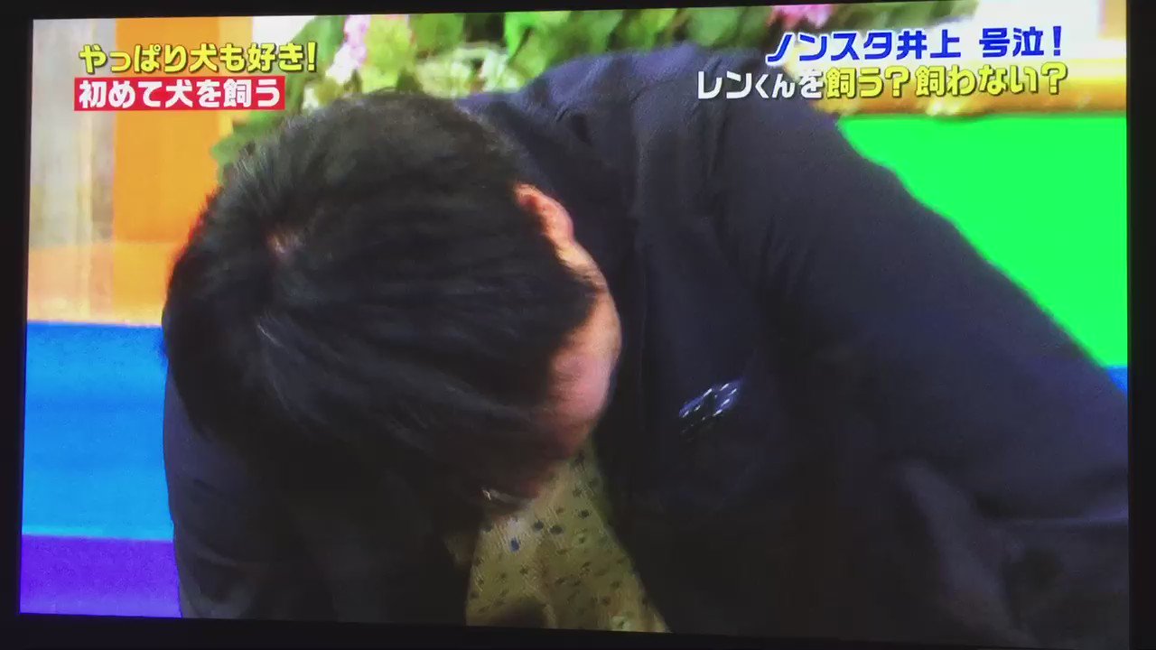 Nonstyle井上 ノンスタイル 思い出すよ Rt Hito0403 Inoueyusuke やっぱり犬 も好き 井上さんの決断辛かっただろうなぁ ともらい泣き P レンくん思い出しますか T Co Cujfcyaucg Twitter