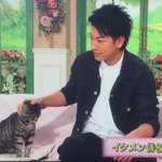 【徹子の部屋】佐藤健の意外な素顔...猫との絡みがかわいすぎる♥♥♥