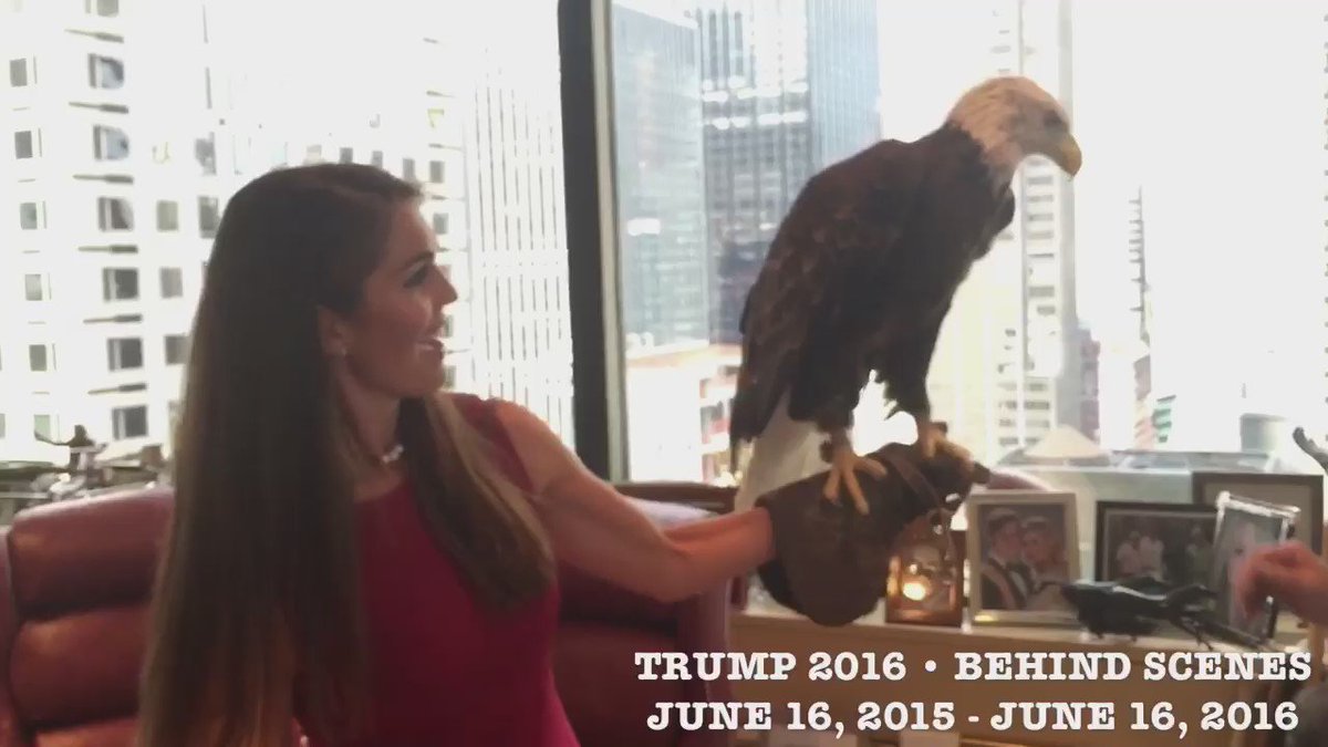 dan scavino twitter cruz video dan scavino twitter cruz video