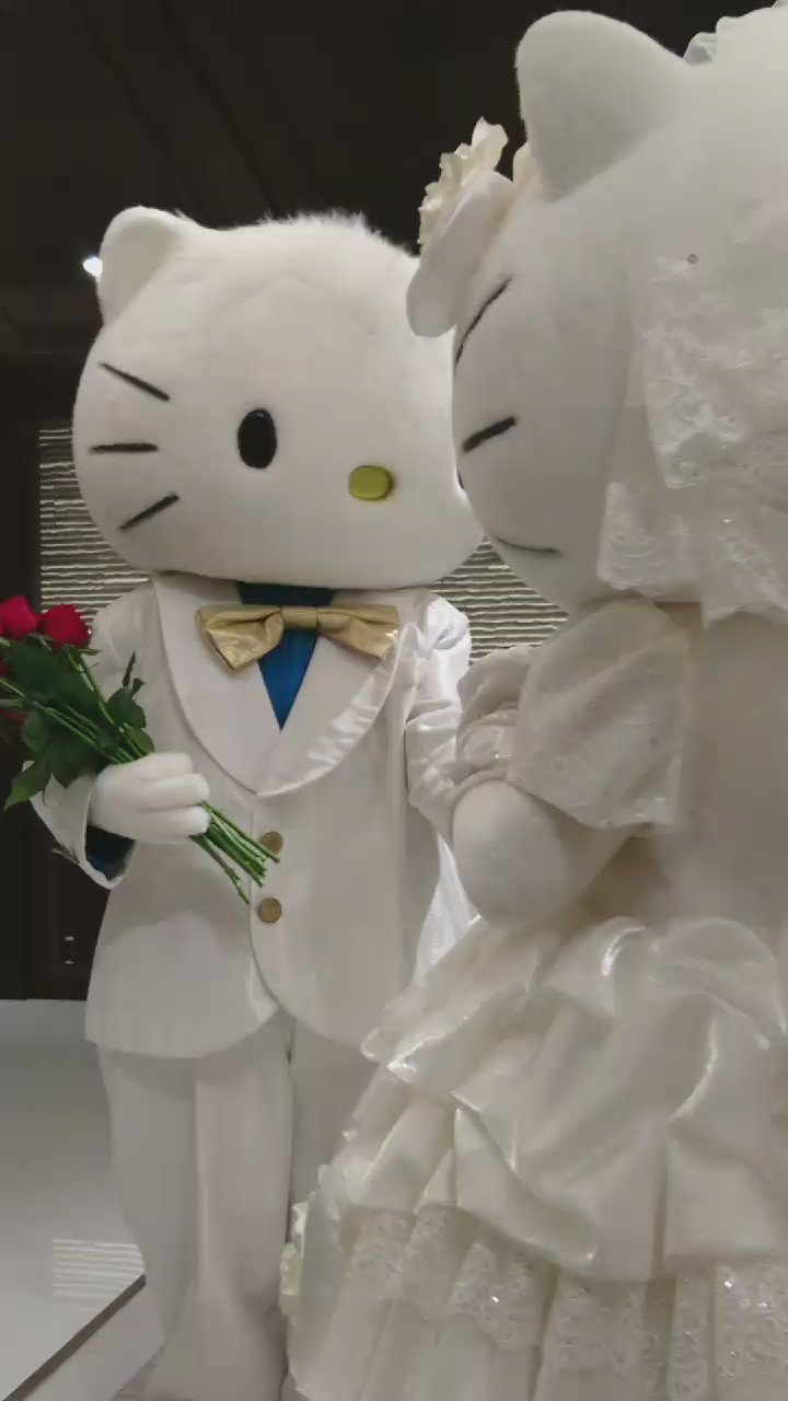 ふみ on X: ふみ on X:
