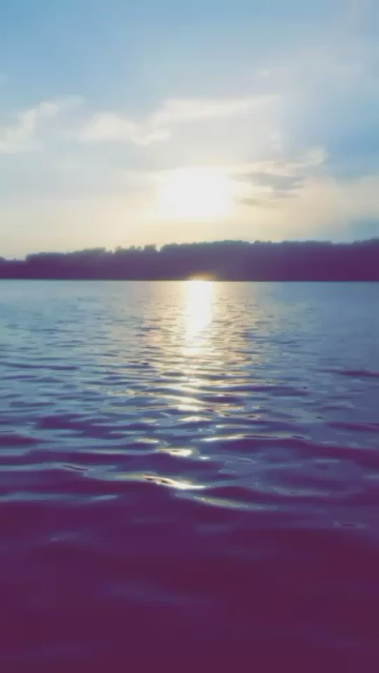 Amy Haven On Twitter Lake Guntersville The Floating Cabins