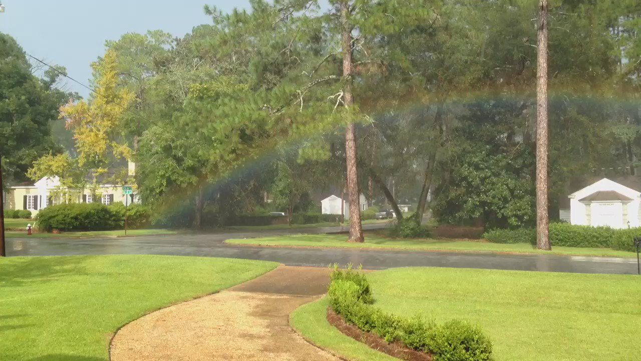 Turnipseed (Turnipseed) / Twitter