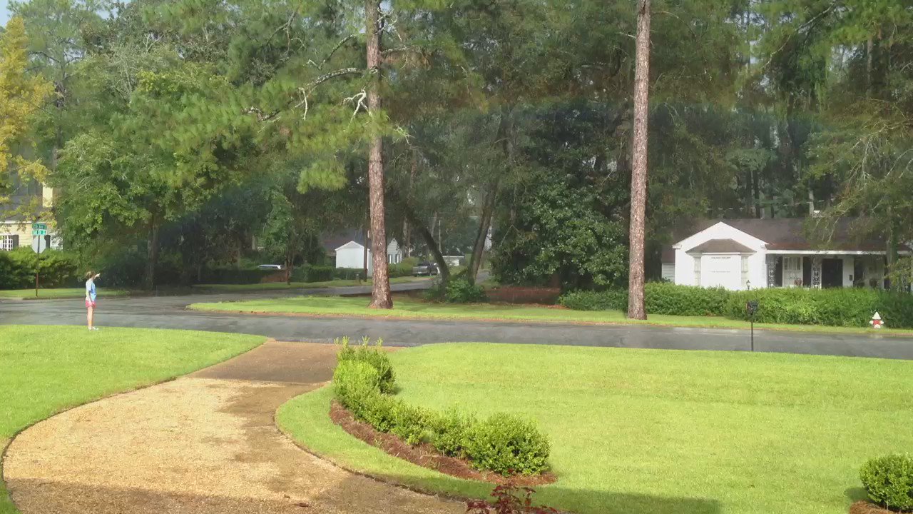 Turnipseed (Turnipseed) / Twitter