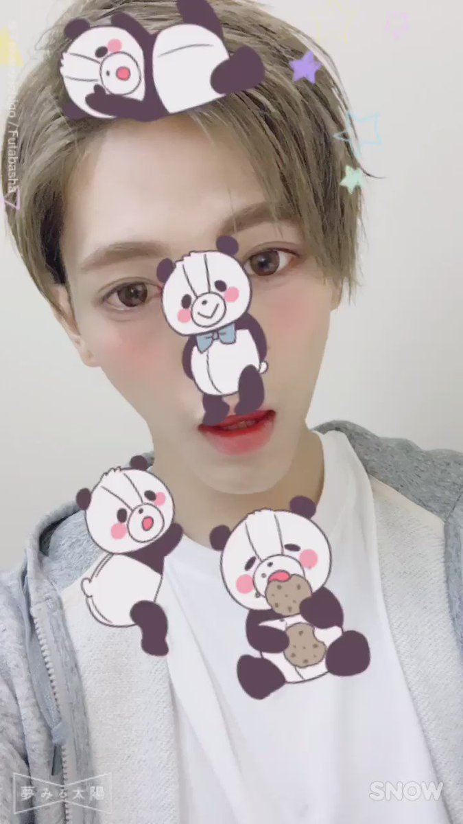 こんどうようぢ パンダの善善かわいい 夢見る太陽 Snow パンダラップ こんどうようぢ パンダの善善かわいい 夢見る太陽 Snow パンダラップ