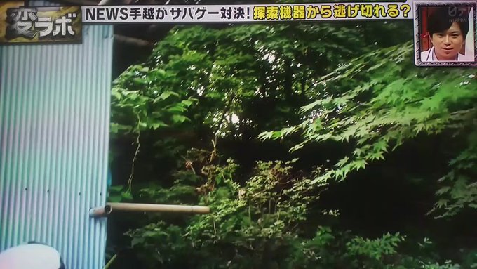 手越くんlove な受験生です さん の最近のツイート 6 Whotwi グラフィカルtwitter分析 手越くんlove な受験生です さん の最近のツイート 6 Whotwi グラフィカルtwitter分析