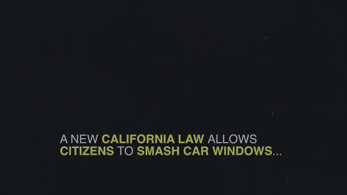 A new law in California allows citizens to smash car windows if an animal appears to be in danger.