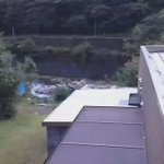 ツイートに含まれる画像