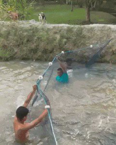 魚を一網打尽にしようとした結果ｗまあ…欲をかきすぎるとバチがあたるよねｗｗｗ