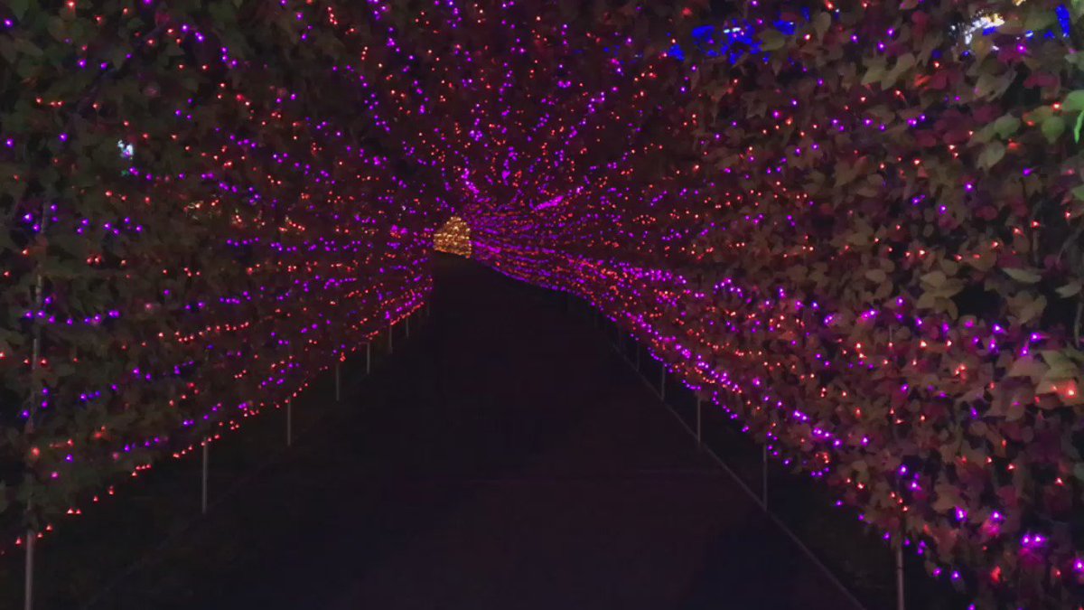 pic.twitter.com/fniaPFQPBd